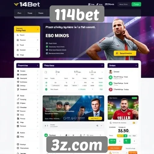 Experiência do usuário no site 114bet